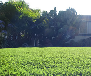 Discovery Bay synthetic grass