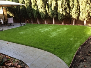 Cupertino synthetic grass