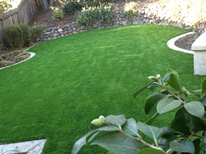 Why is Artificial Grass So Expensive to Install in the San Francisco Bay Area?